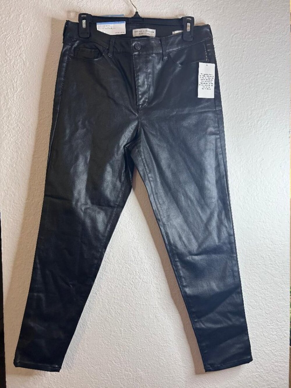 Faux Leather Skinny Ankle Pant in Jet Black Size 10 Social Standard by Sanctuary